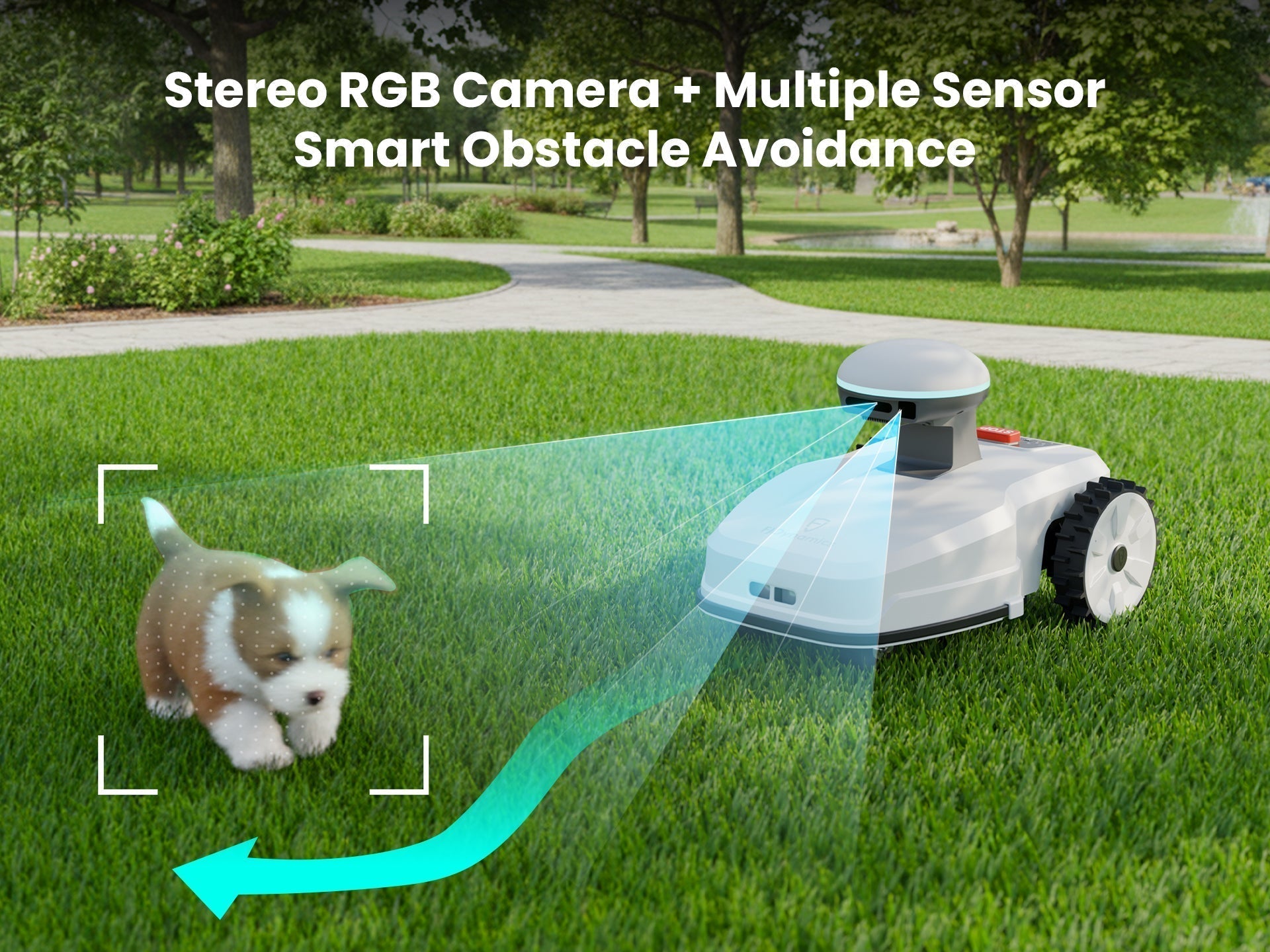 Comparing the Top Robot Lawn Mowers: Features, Performance, Prices